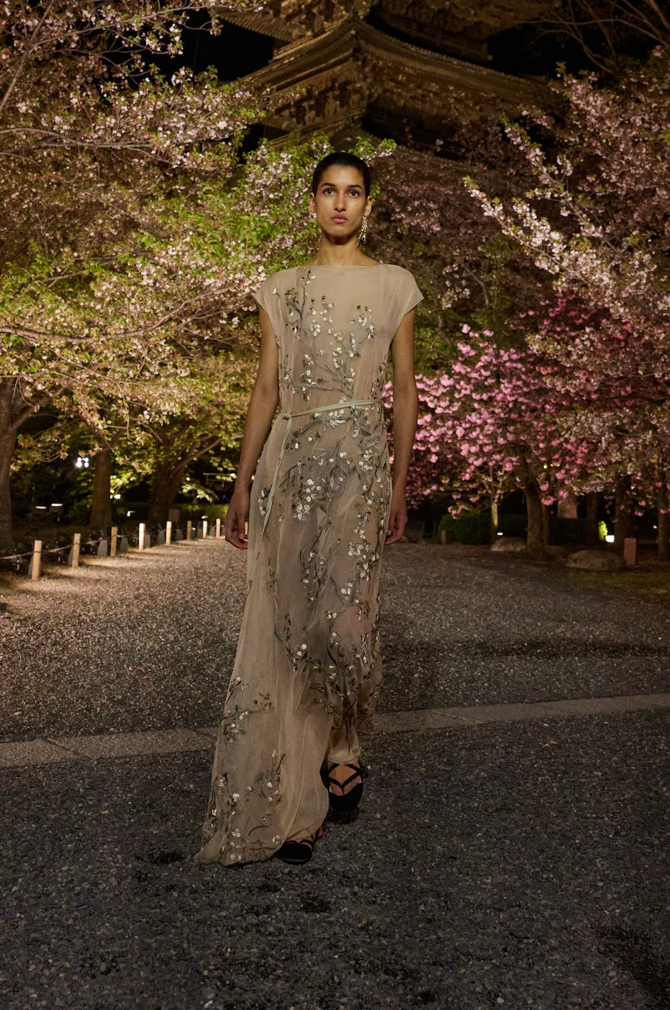 Dior Fall 2025 Collection by Maria Grazia Chiuri